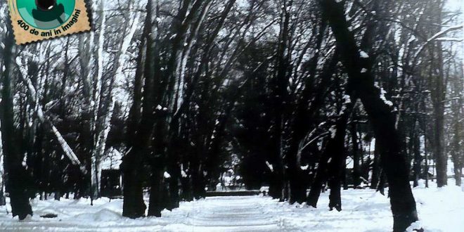 gherla 1969 iarna parc