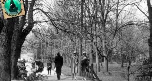 gherla parc 1930